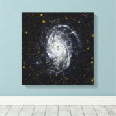 Toile Galaxie NGC 6744 (Insitu (Plancher de Bois))