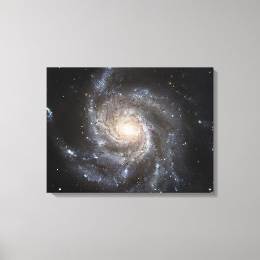 Toile Galaxie spirale Messier 101 (Recto)