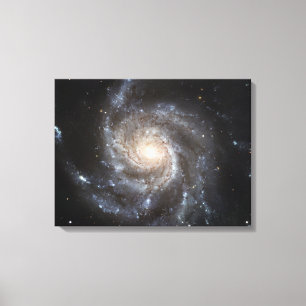 Toile Galaxie spirale Messier 101