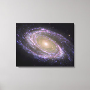 Toile Galaxie spirale Messier 81