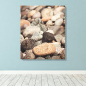 Toile Galets sur la plage (Insitu (Plancher de Bois))