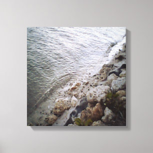Toile Galets Sur La Plage
