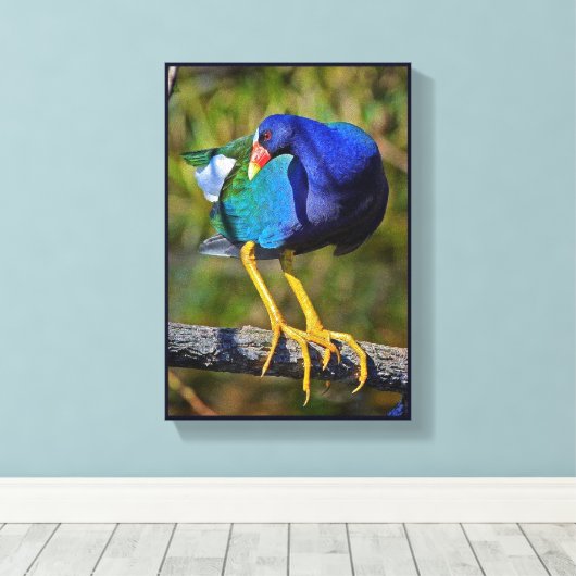 Toile Gallinule violette (Insitu (Plancher de Bois))