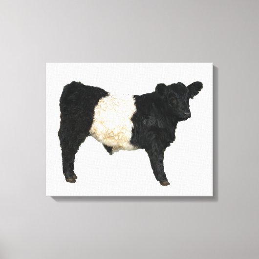 Toile Galloway Ceer Cutout Beltie Cadeau (Recto)