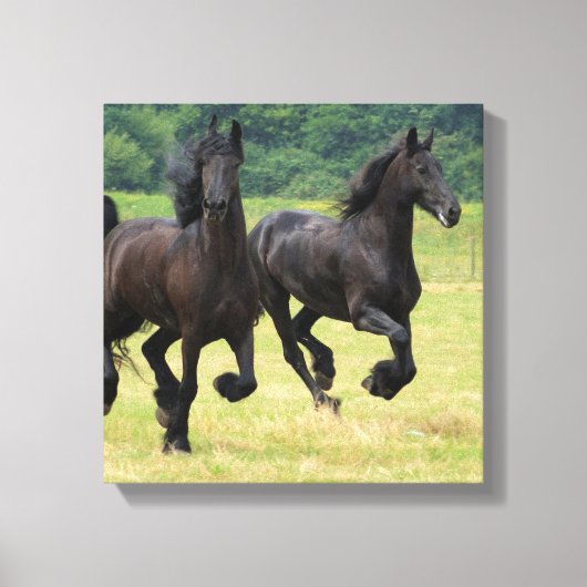 Toile Galop Friesian Horses Canvas Imprimer (Recto)