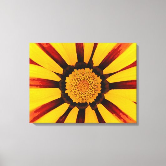 Toile Gazania (Recto)