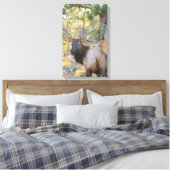 TOILE GC (Insitu(Chambre))