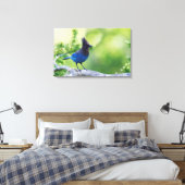 Toile Geai de Steller (Insitu(Chambre))