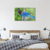 Toile Geai de Steller 1 (Insitu(Chambre))