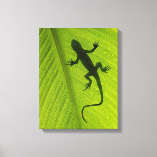 Toile Gecko Silhouette (Recto)