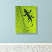 Toile Gecko Silhouette (Insitu (Plancher de Bois))