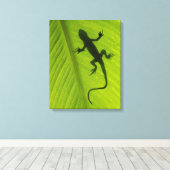 Toile Gecko Silhouette (Insitu (Plancher de Bois))