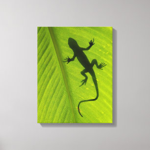 Toile Gecko Silhouette