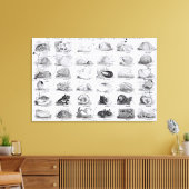 Toile Genera of Shells jigsaw, pub. par W. Edwards (Insitu(Salon))