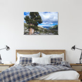 Toile Génévier de Sierra et arbres à feuilles persistant (Insitu(Chambre))