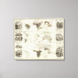 Toile Géographie zoologique