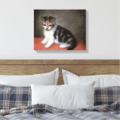 Toile George Stubbs | Miss Ann White's Kitten, 1790 (Insitu(Chambre))