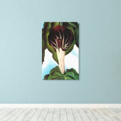 Toile Georgia O'Keeffe - Jack-in-the-Pulpit (Insitu (Plancher de Bois))