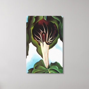 Toile Georgia O'Keeffe - Jack-in-the-Pulpit