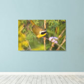 Toile Geothlypis trichas) mâle, (Insitu (Plancher de Bois))