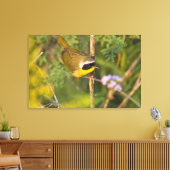 Toile Geothlypis trichas) mâle, (Insitu(Salon))