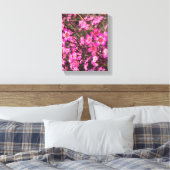 Toile Geraldton Wax (Insitu(Chambre))