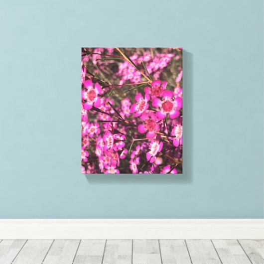 Toile Geraldton Wax (Insitu (Plancher de Bois))