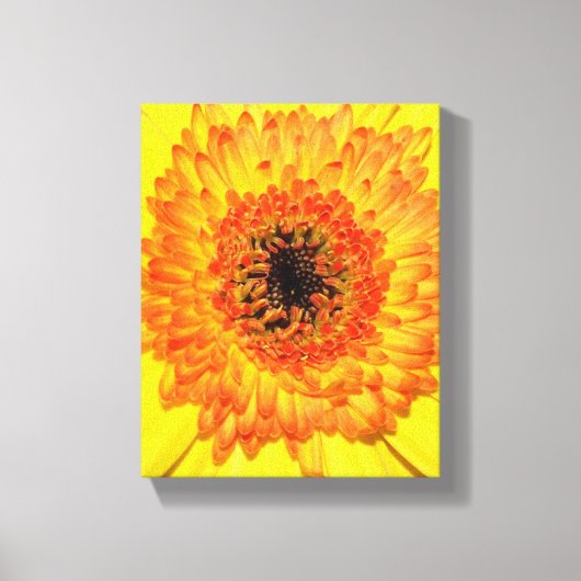 Toile Gerber Daisy (Recto)