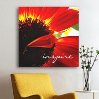 Gérbera Daisy Rouge Photographie Inspirer Script G