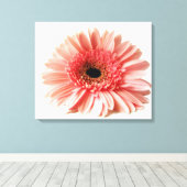 Toile Gerbera marguerite (Insitu (Plancher de Bois))
