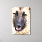 TOILE GERMAN SHEPHERD (Recto)