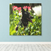 Toile German Shepherd à Field (Insitu (Plancher de Bois))