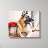 Toile German Shepherd Resting (Recto)
