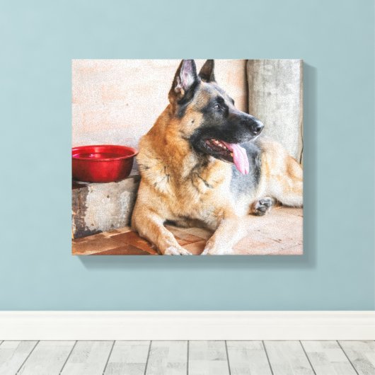 Toile German Shepherd Resting (Insitu (Plancher de Bois))