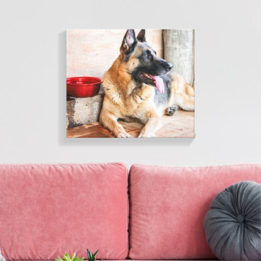 Toile German Shepherd Resting (Insitu(Salon))