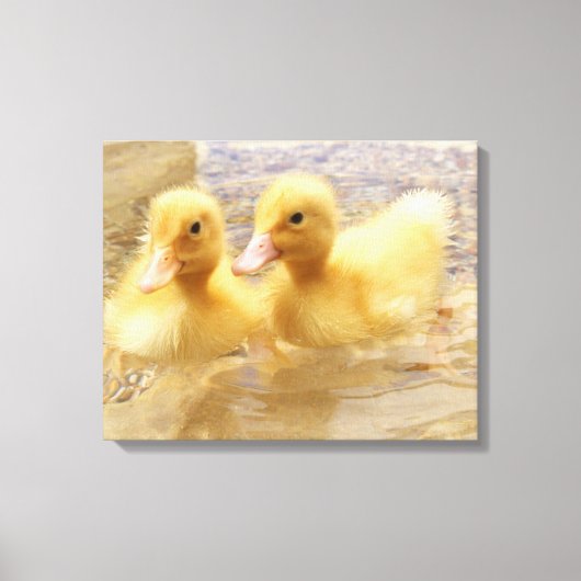 Toile Getty Images | Fuzzy Yellow Ducklings (Recto)