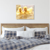 Toile Getty Images | Fuzzy Yellow Ducklings (Insitu(Chambre))