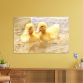 Toile Getty Images | Fuzzy Yellow Ducklings (Insitu(Salon))