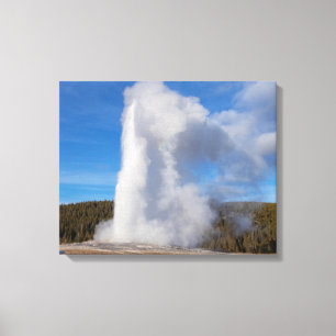 Toile Geyser Old Faithful Yellowstone