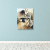 TOILE GIBBON (Insitu (Plancher de Bois))
