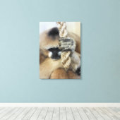 TOILE GIBBON (Insitu (Plancher de Bois))