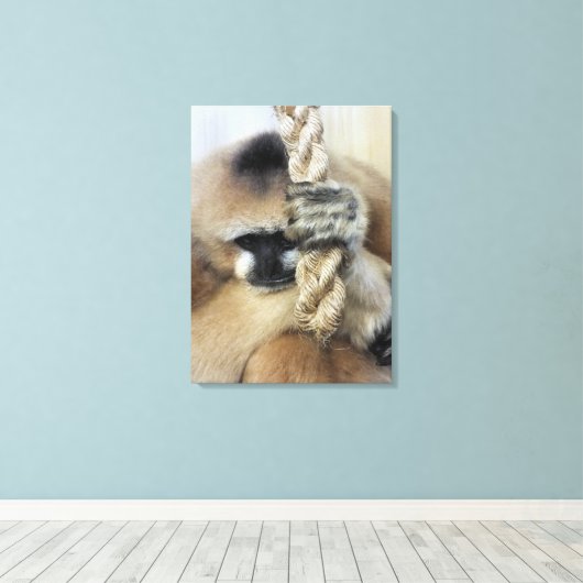 TOILE GIBBON (Insitu (Plancher de Bois))