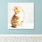 Toile Ginger Kitten (Insitu (Plancher de Bois))