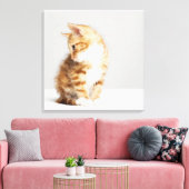 Toile Ginger Kitten (Insitu(Salon))