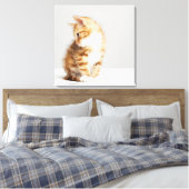 Toile Ginger Kitten (Insitu(Chambre))