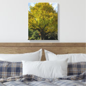 Toile Ginkgo Tree of Golden Yellow (Insitu(Chambre))