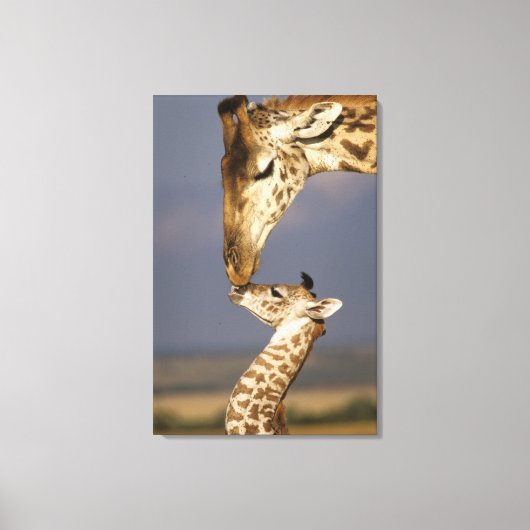 Toile Girafe embrassant un bébé girafe (Recto)