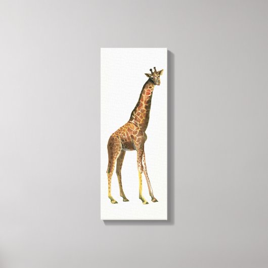 Toile Giraffe (Recto)