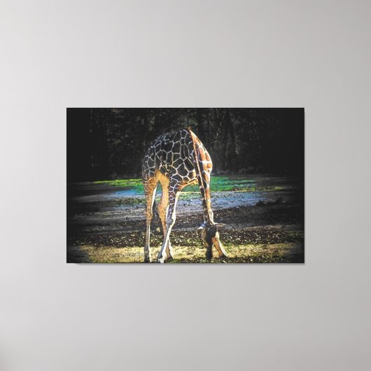 Toile Giraffe 2Design (Recto)