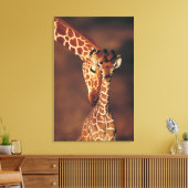 Toile Giraffe adulte avec veau (Giraffa camelopardalis) (Insitu(Salon))